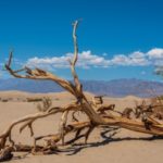 [絶景]デスバレー国立公園の見どころ・観光プランはどうする