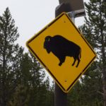 アメリカ国立公園の年間パス購入をお勧めする理由