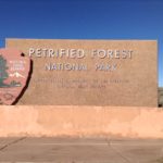 化石の森国立公園は想像以上に神秘的な場所だった。