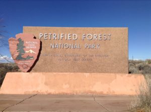 化石の森国立公園は想像以上に神秘的な場所だった。