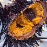 サンディエゴでウニを堪能できるおススメの場所は？？