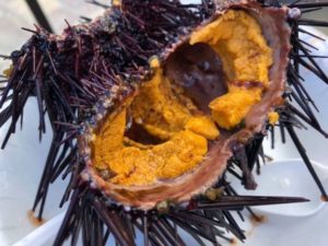 サンディエゴでウニを堪能できるおススメの場所は？？