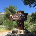 セコイア国立公園&キングスキャニオン国立公園に行く前に知っておきたい事