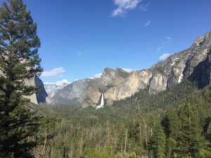 世界遺産ヨセミテ国立公園のおすすめの過ごし方