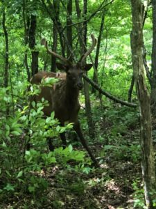 英語ができなくても評価される駐在員の共通点