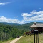 電話英語が怖くなくなるまでにやった3つのこと